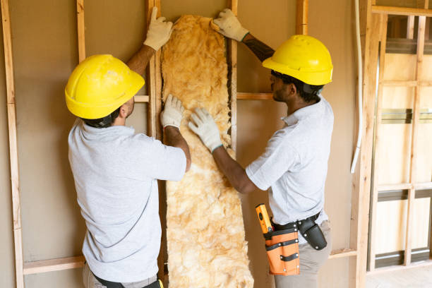 Types of Insulation We Offer in Temperance, MI